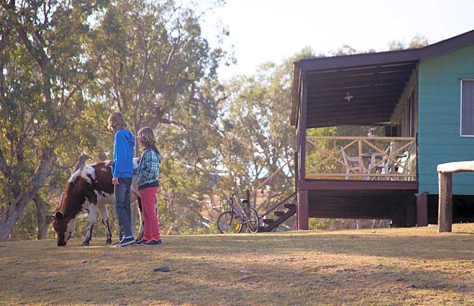 Bestbrook Mountain Farmstay