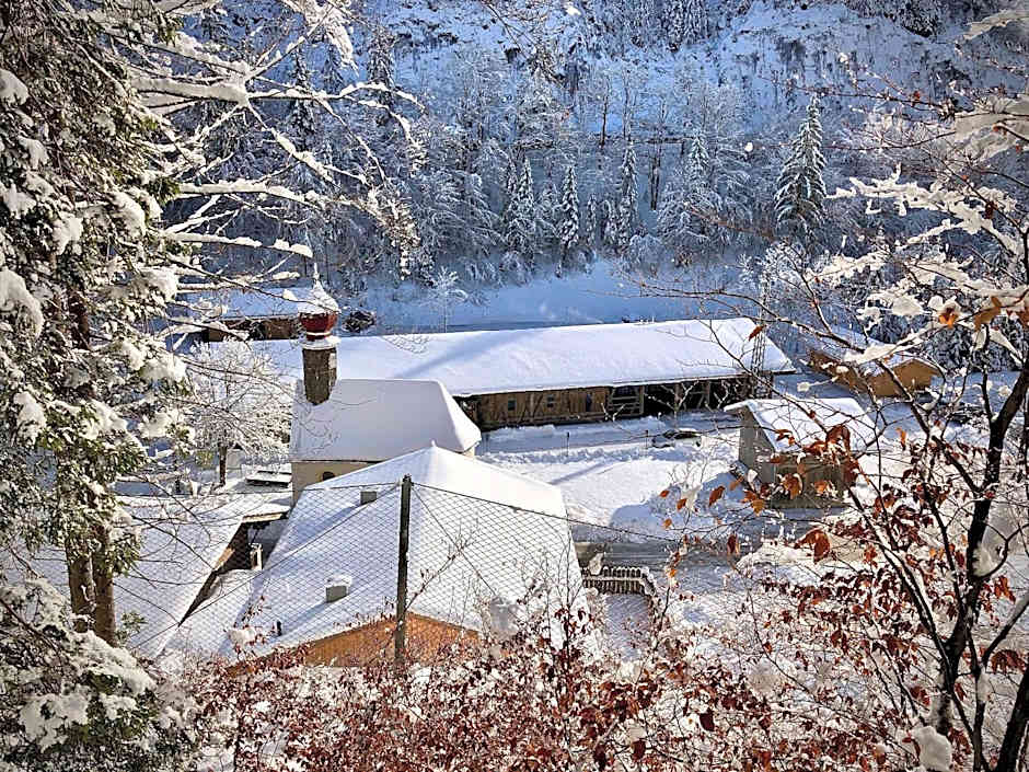 Gasthof Salzstadl