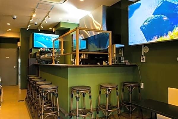 2023 NEW OPEN Island Japan Hotel & Cafe