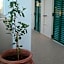Mirabello Hotel