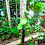 Santi Garden Bungalows