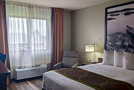 1 Queen Bed Mobility Accessible Room Non-Smoking