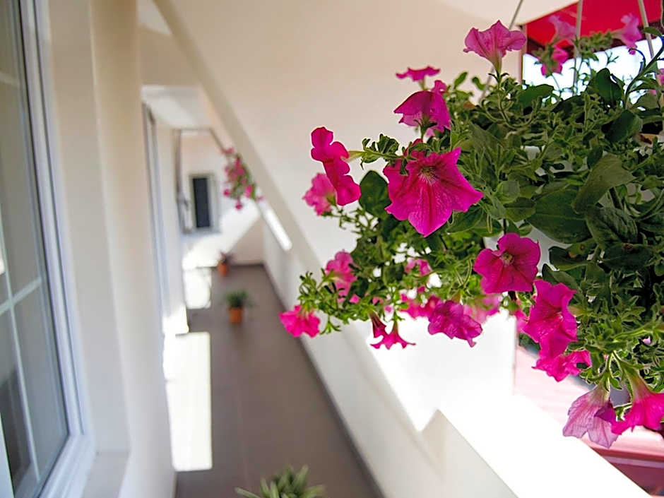 Hotel Tranzzit