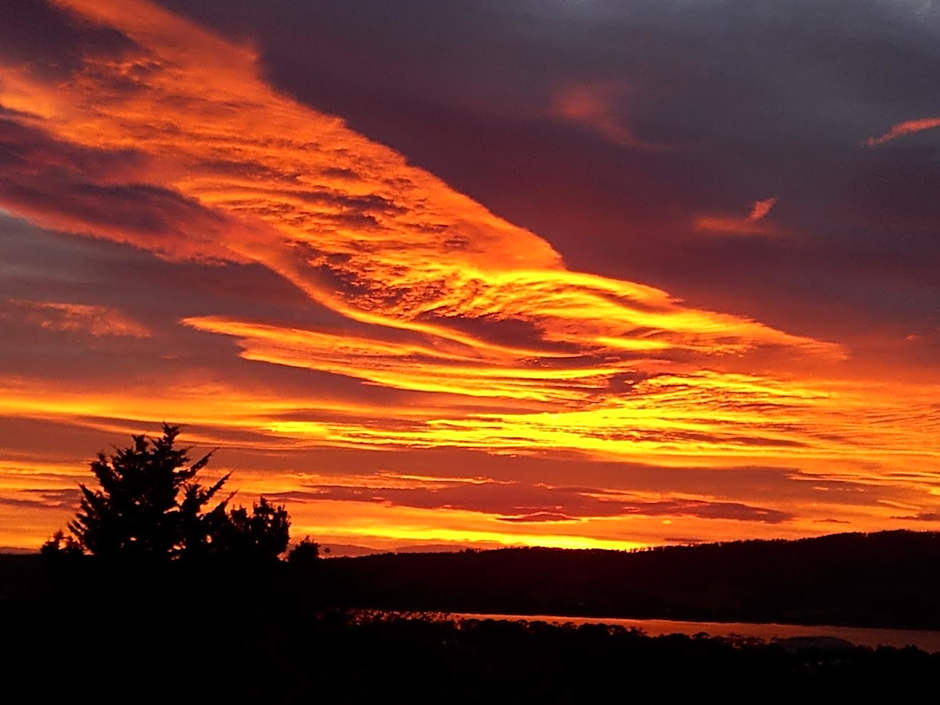 Waterview Gardens B&B