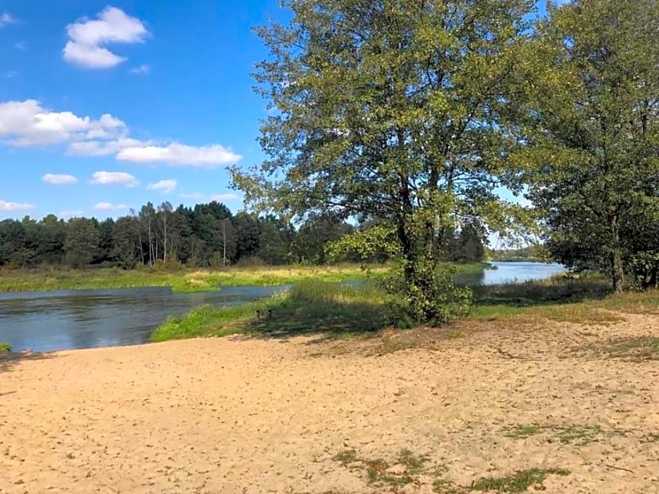 Zacisze Leśne nad Pilicą
