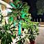 Family Hotel Paros