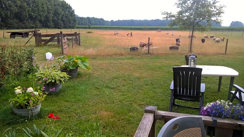 Pipowagen Lidewei Groningen Westerwolde unieke ligging met eigen tuin en vrij uitzicht over veld naar natuurgebied