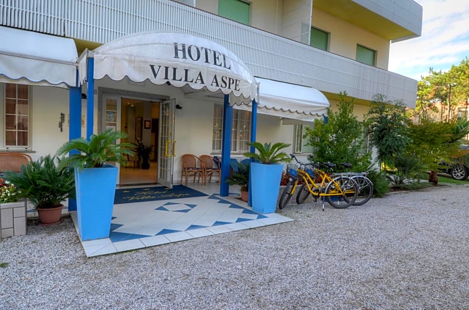 Hotel Aspe