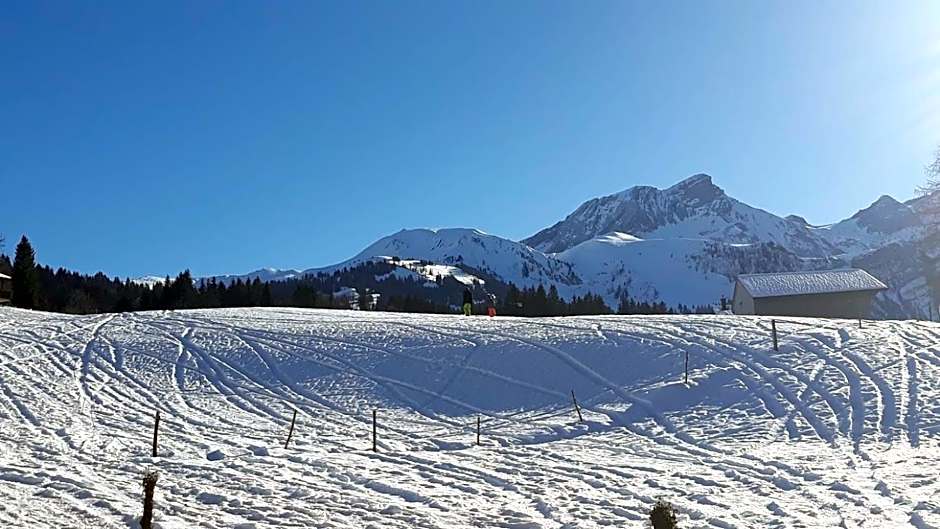 Snow+Surf B&B