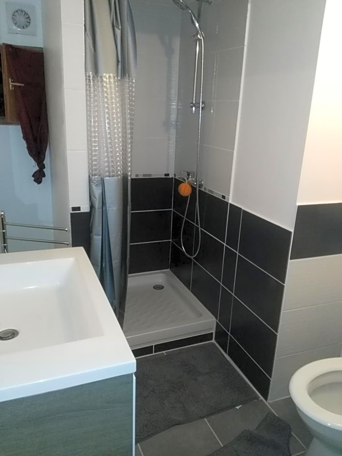 Le camélia de la mazarié