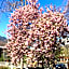 Gasthof zum Stern