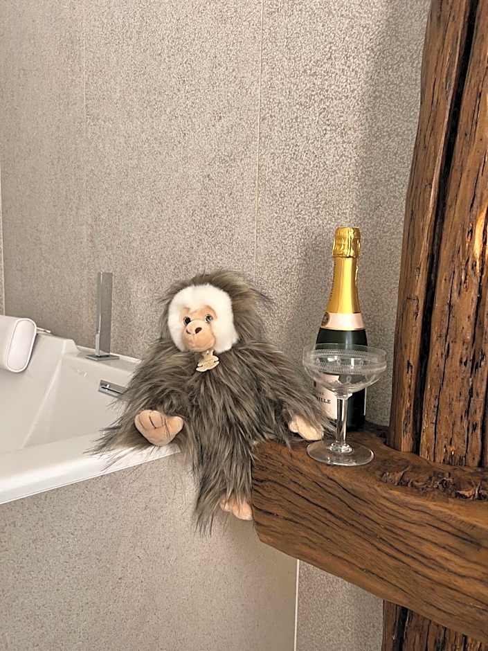 Tamarin & Capucin Suite Balnéo