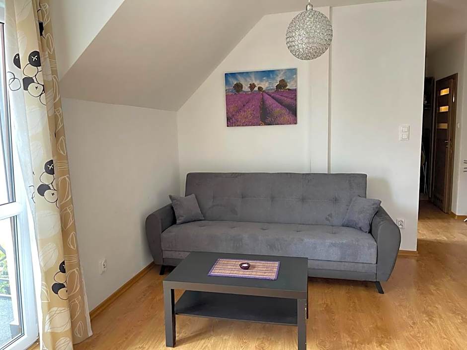 Baltic Trio Apartaments - Rusinowo