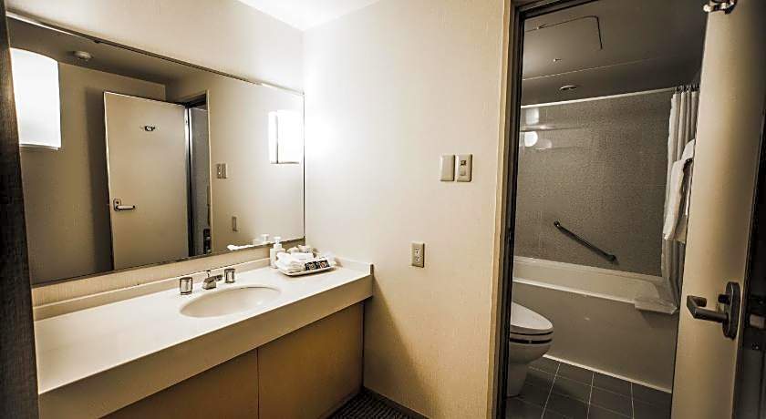 Oarks Canal Park Hotel Toyama