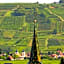 Hôtel Berceau Du Vigneron