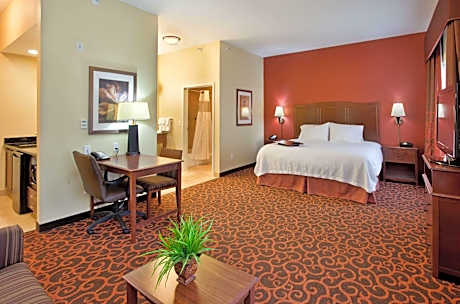 1 King Bed Studio Suite Nonsmoking