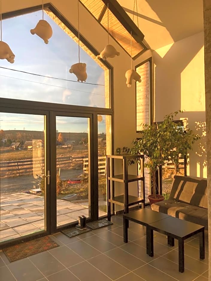 Pensiunea CASA SPANDO