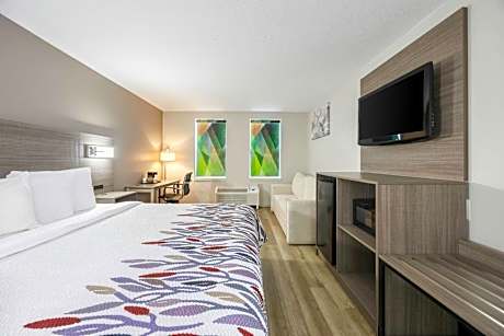 Suite King Room Non-Smoking