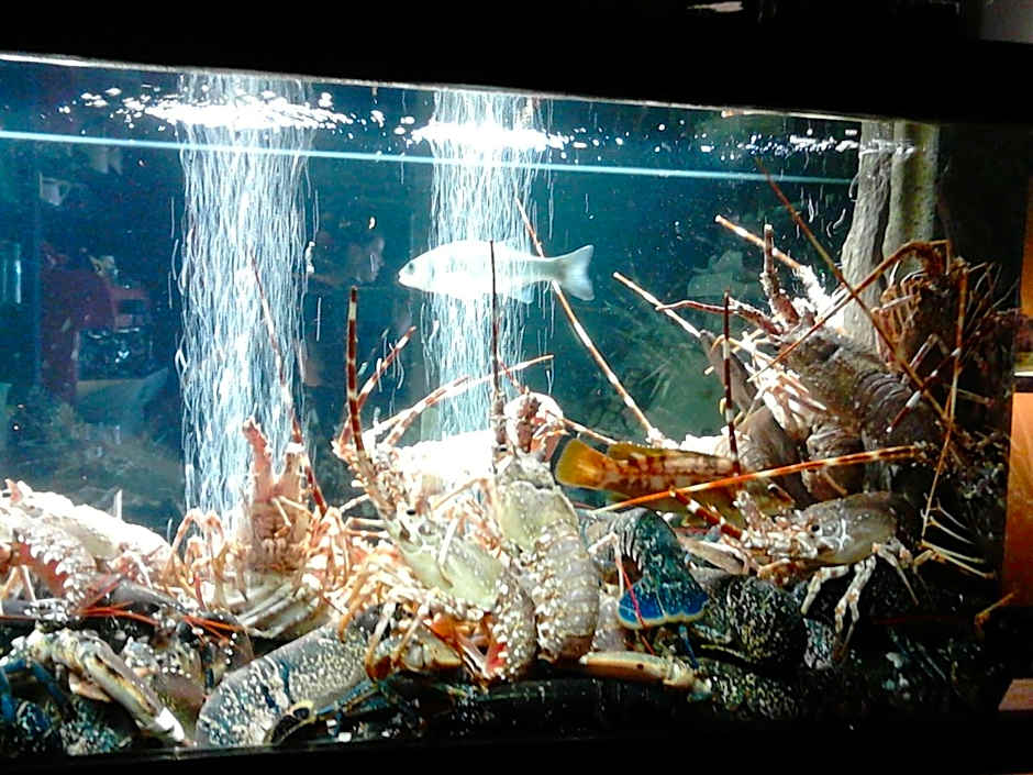 Logis Hôtel de France - Face à la Mer