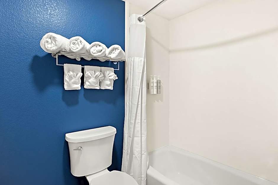 Spark by Hilton Williams