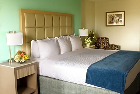 1 King Mob Accessible Bathtub Work Desk Microwave Fridge Wi-Fi Non-Smoking Full Breakfast