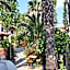 9 Musses Hotel Apartments