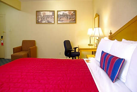 Double Room - Non-Smoking