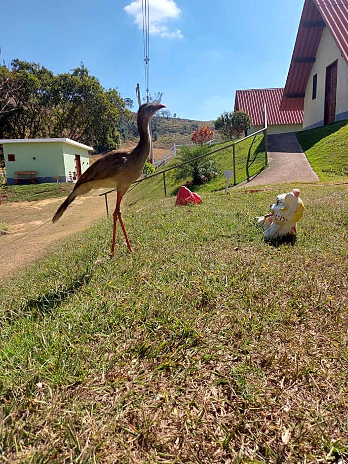 Pousada e Pesque e Pague Vista Alegre