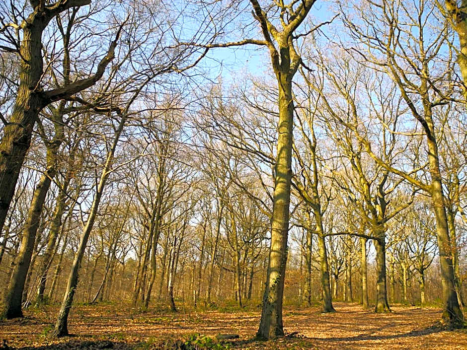 Oakside Lodge Guest House