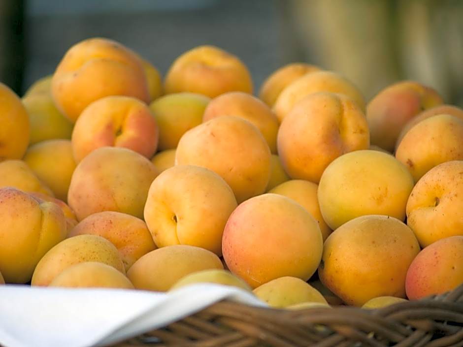 Gartenhotel & Weingut Pfeffel Dürnstein