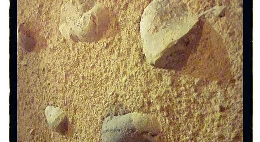 Ecogîte Rural La Clé des Champs