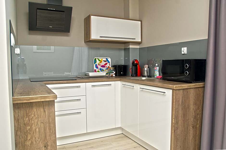 Bory6a Apartamenty & Free Parking