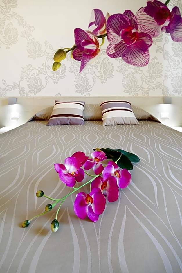 Hotel Alex