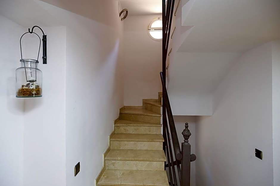 New Bruselas 2 Planetcostadorada