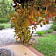 Amy's House Bed & Breakfast