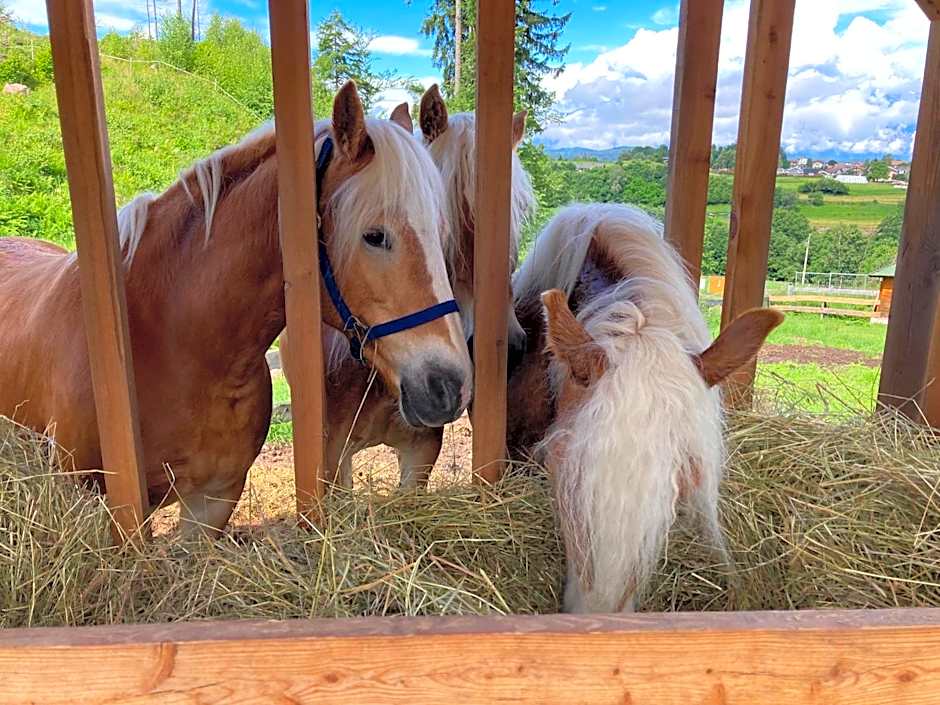 Albergo Garni' Laura