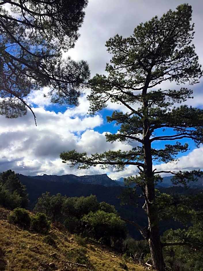 Apartamentos Valle del Guadalquivir