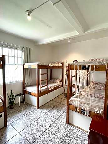 Bed in 8-Bed Mixed Dormitory Room