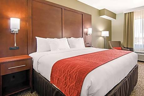 1 King Bed, Nonsmoking, Accessible