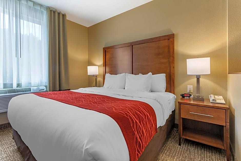 Comfort Inn & Suites Near Mt. Rushmore