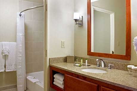 King 1Bdrm Mobility Access W/ Tub No Smok