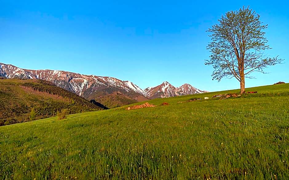 Drevenica Spiaci Goral