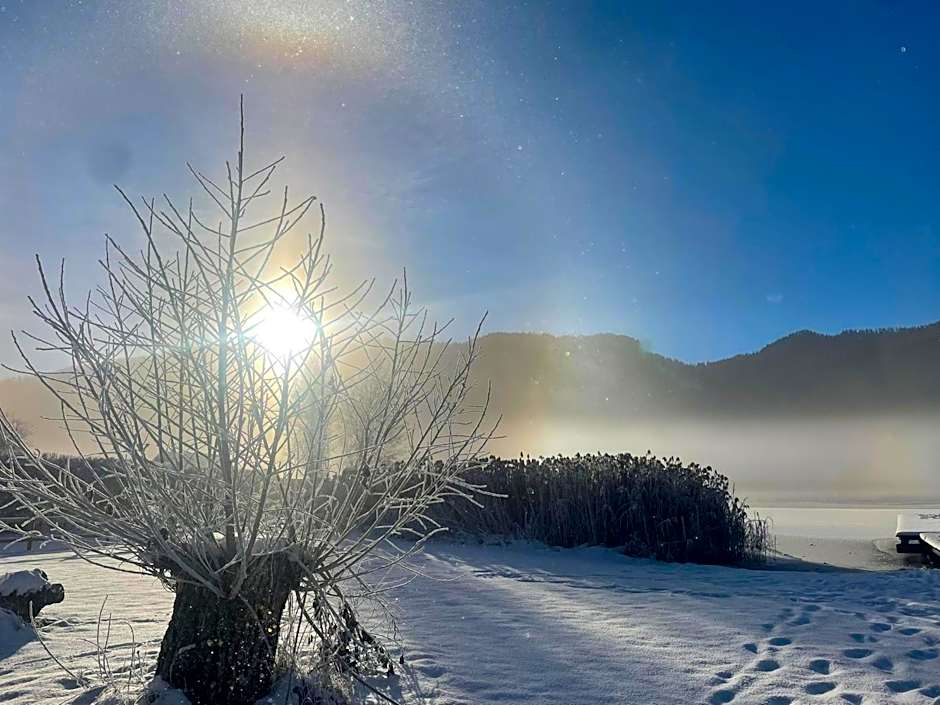 SeeHotel & SeeApartments Kärntnerhof- direkt am See!