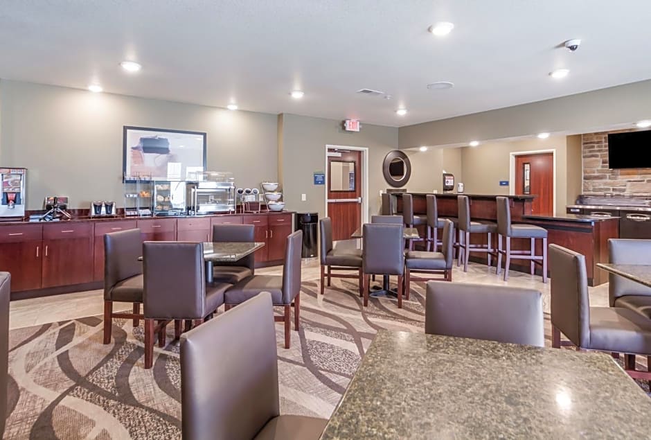 Cobblestone Inn & Suites-Fremont