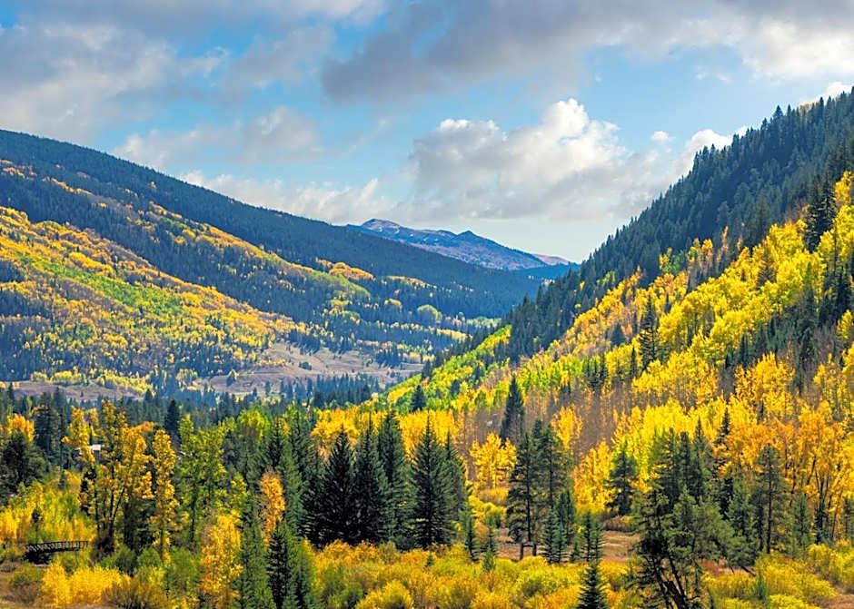 The Sebastian - Vail