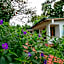 Hotel La Rosa de America
