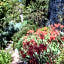 Pietrantica - Affittacamere con giardino NUOVA APERTURA a Trebiano -CITR