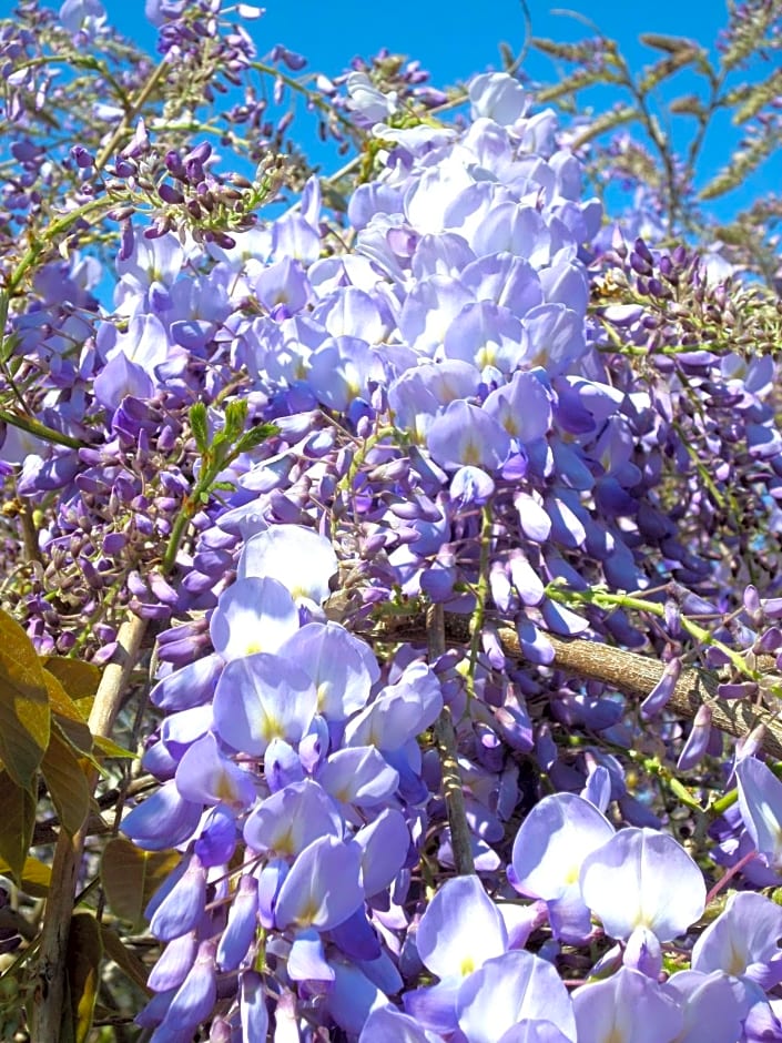 Chambres d'Hotes du Haut Anjou