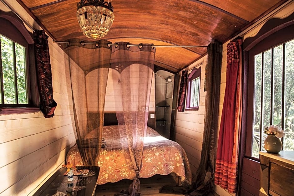 Les Cabanes Des Marais