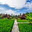 Ubud Sawah Scenery Villa and Homestay